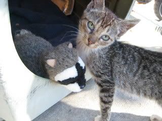 Photobucket - Video and Image Hosting