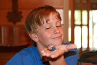 Photobucket - Video and Image Hosting