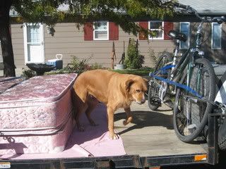 Photobucket - Video and Image Hosting