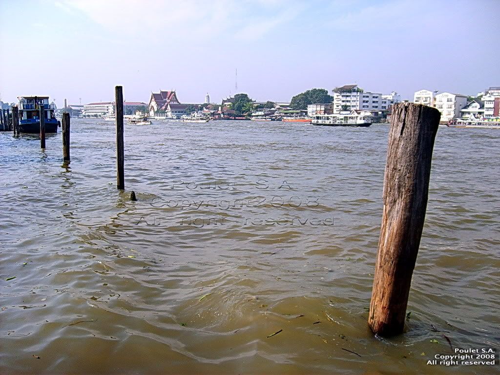 The Chao Phraya River