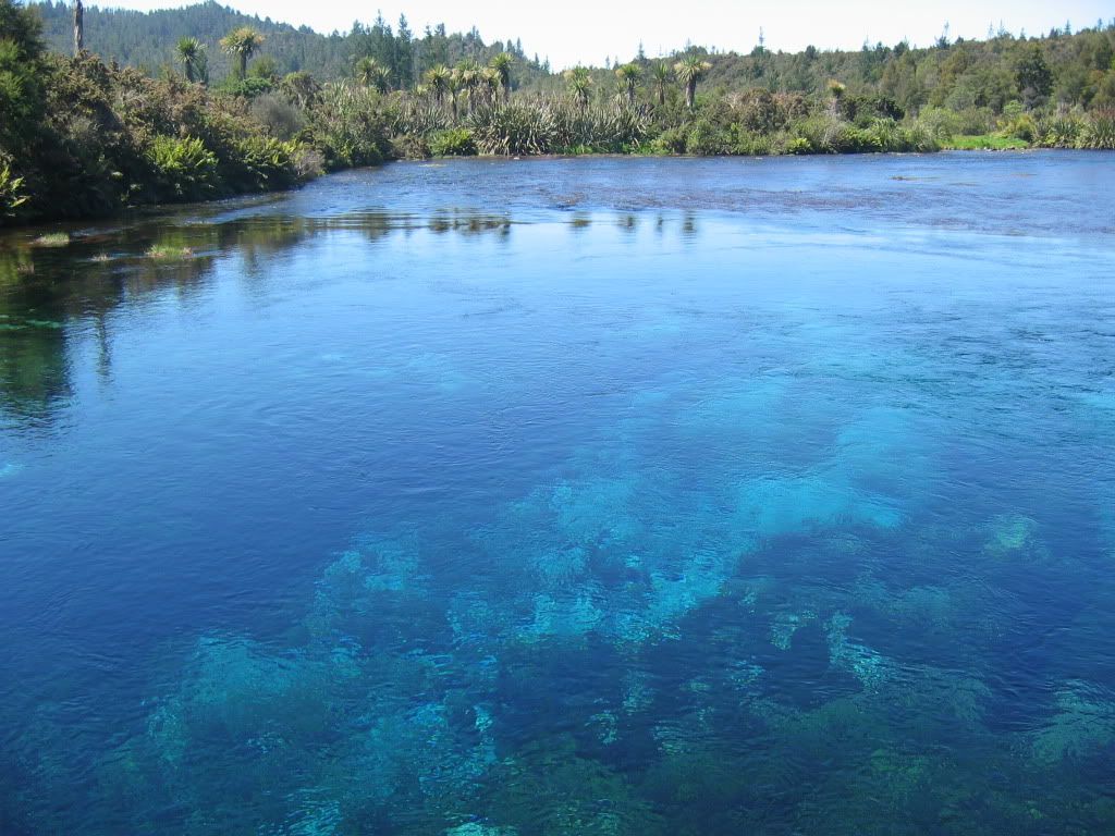 Te Waikoropupu Springs