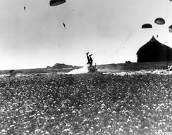 763px-101st_Airborne_Division_-_-1.jpg