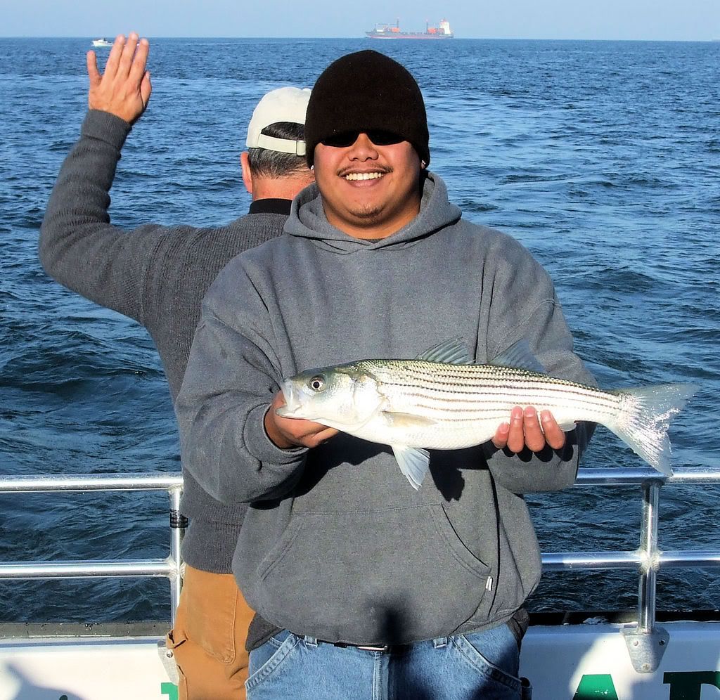 11/18/07 Chesapeake Bay Fishing Report Tidal Fish Forum