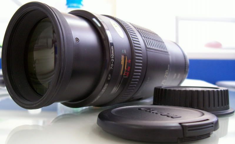 IMAGE: http://i177.photobucket.com/albums/w231/loithuxua/101_5222_resize.jpg