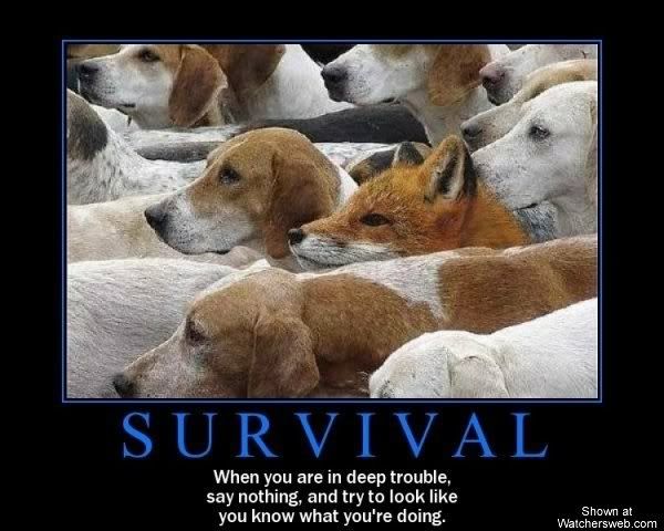 survival-motivational-poster-fox-wi.jpg