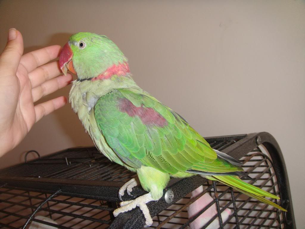 http://i177.photobucket.com/albums/w232/Claudia_S_photos/DSC00327.jpg
