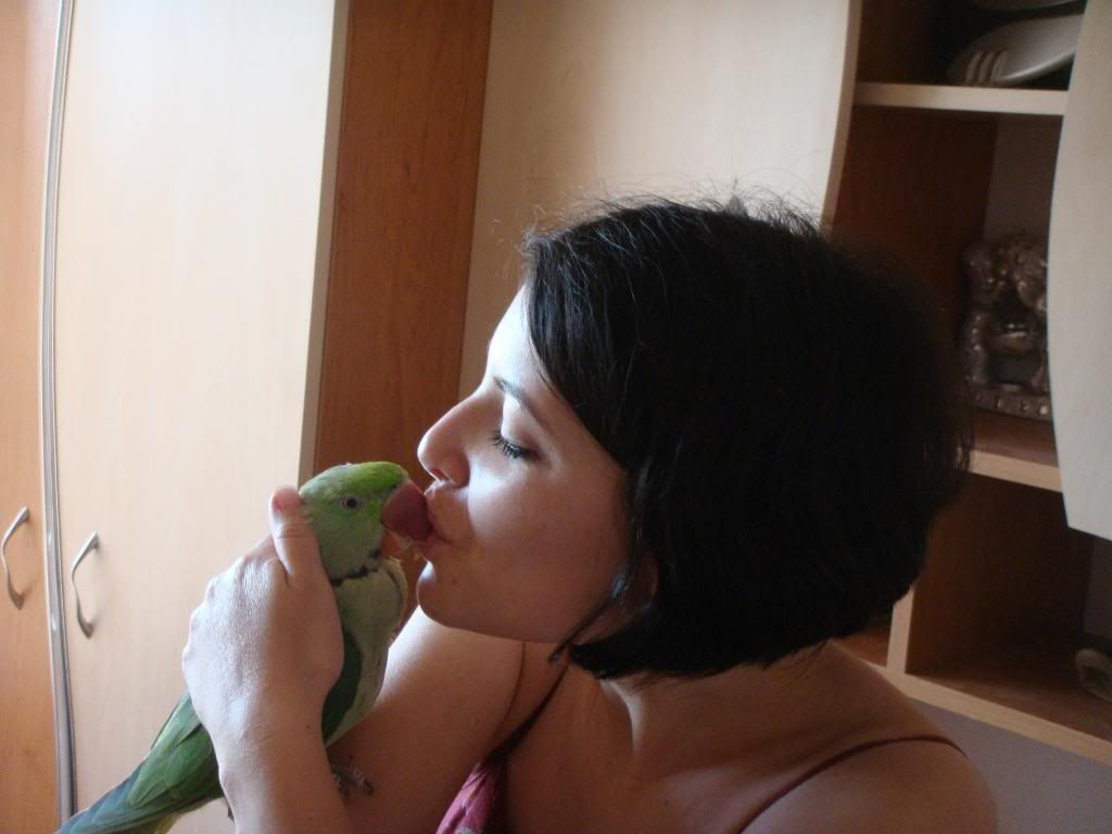 http://i177.photobucket.com/albums/w232/Claudia_S_photos/DSC00330.jpg