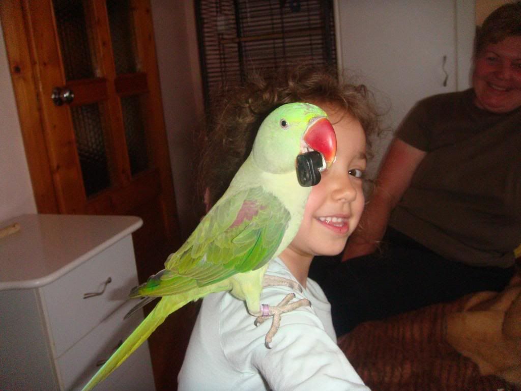http://i177.photobucket.com/albums/w232/Claudia_S_photos/DSC09353.jpg