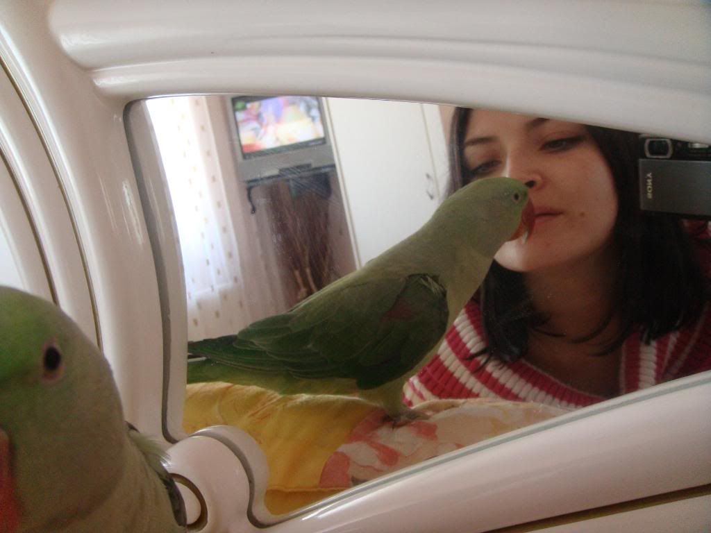 http://i177.photobucket.com/albums/w232/Claudia_S_photos/DSC09374.jpg