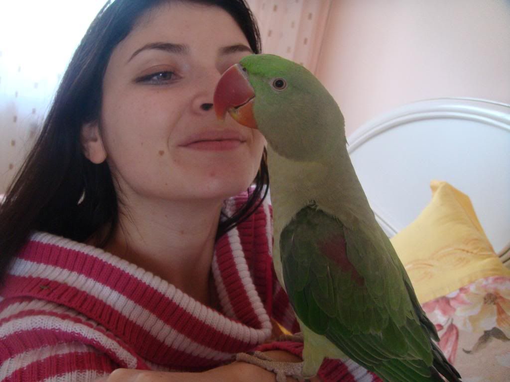 http://i177.photobucket.com/albums/w232/Claudia_S_photos/DSC09380.jpg