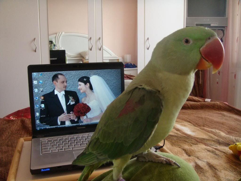 http://i177.photobucket.com/albums/w232/Claudia_S_photos/DSC09583.jpg