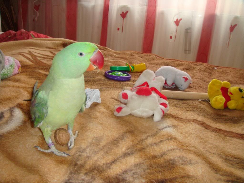 http://i177.photobucket.com/albums/w232/Claudia_S_photos/DSC09823.jpg