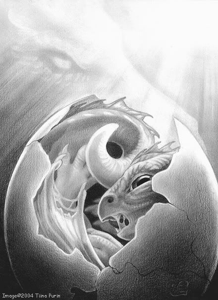 Baby Drachen Geburt, Dragon Hatchling