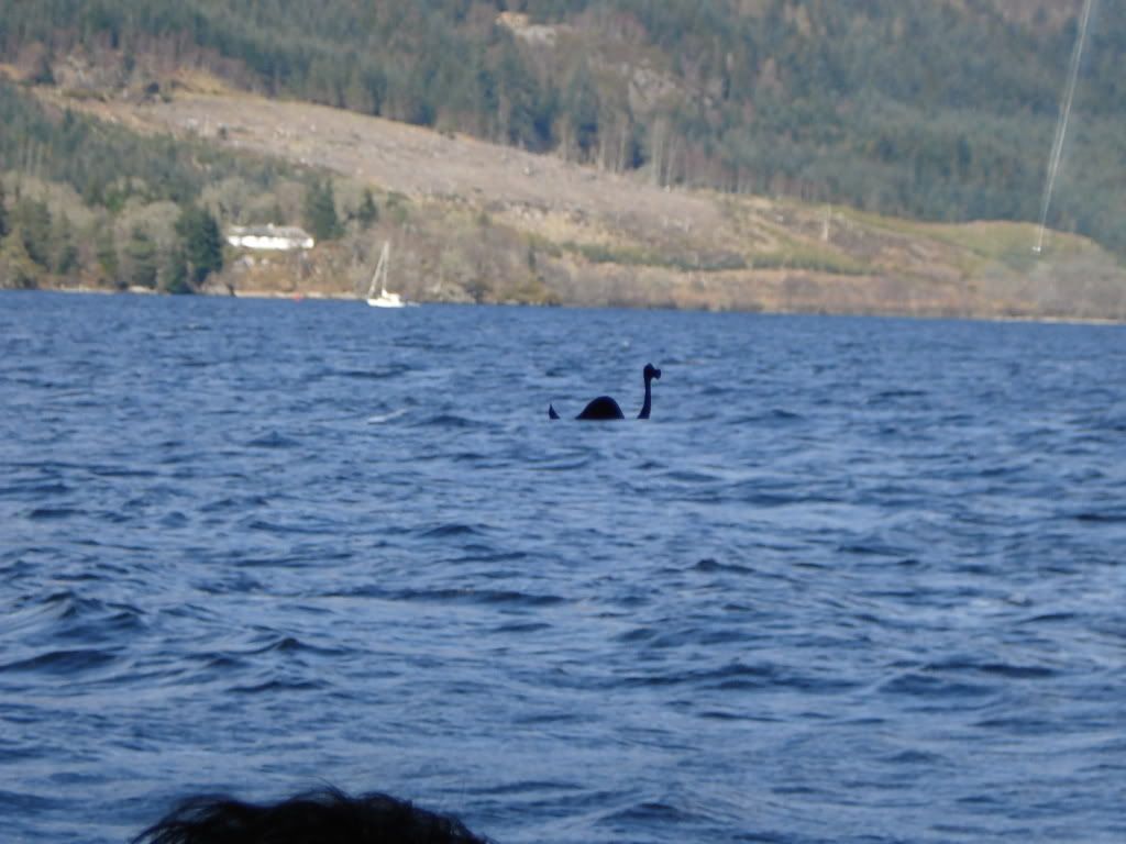 Loch Ness Monster!!!! Pictures, Images and Photos