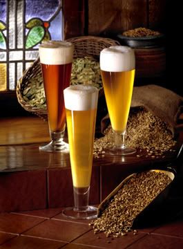beers Pictures, Images and Photos
