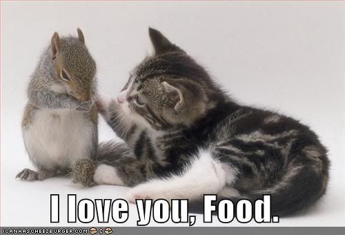 cat-loves-food.jpg