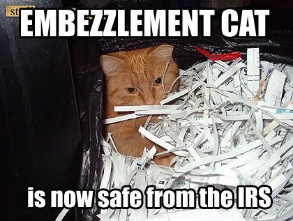 embezzlementcat.jpg