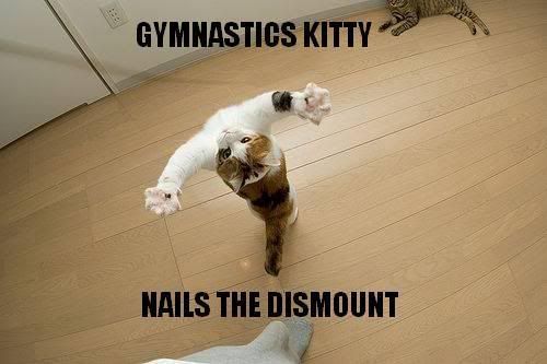 gymnastkitty.jpg