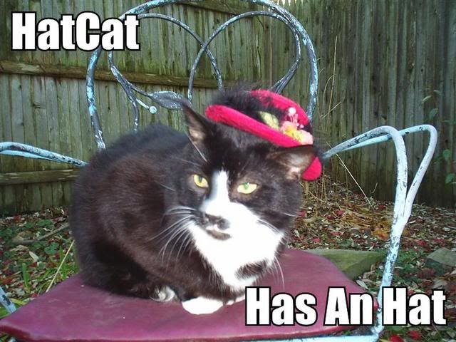 hatcat.jpg