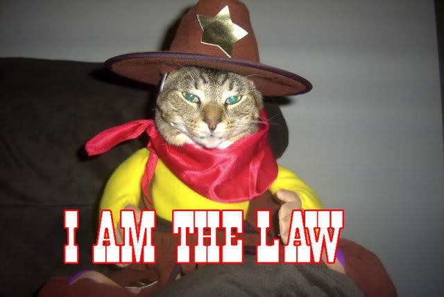 iamthelaw.jpg