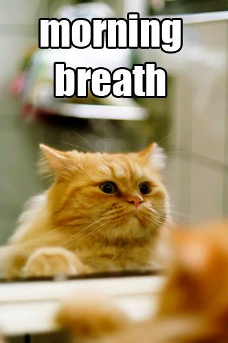 morningbreath.jpg