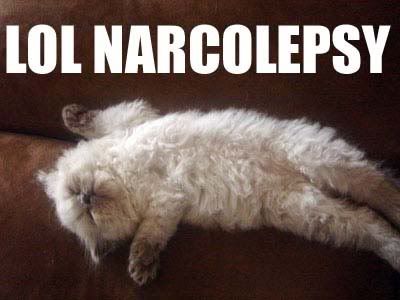 narcolepsy.jpg