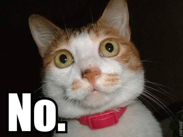 no.jpg
