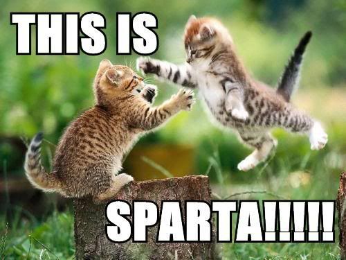 this-is-sparta.jpg
