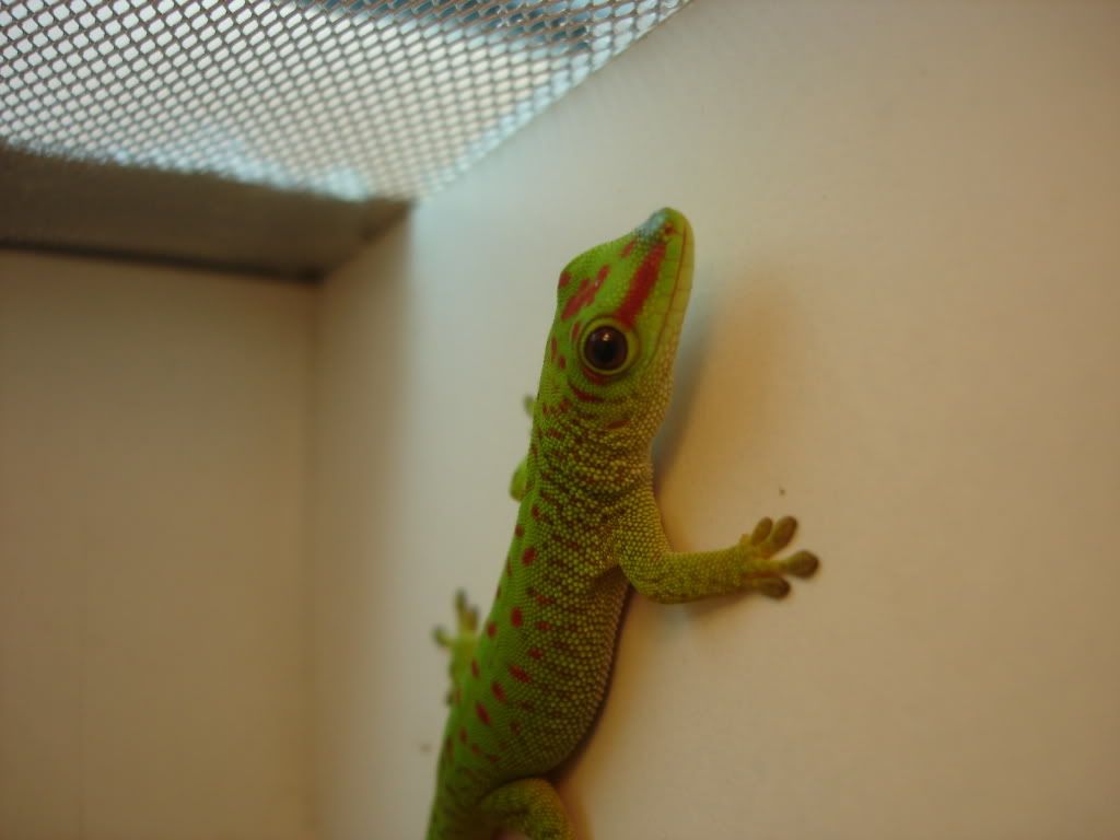 DSC04131.jpg