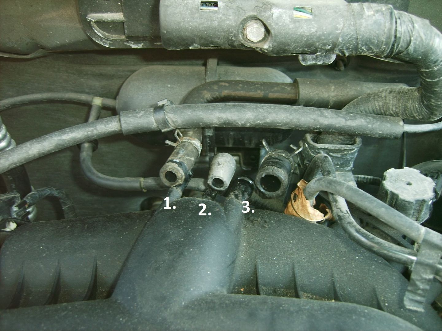 2003 Ford 3 0 V6 Engine Diagram