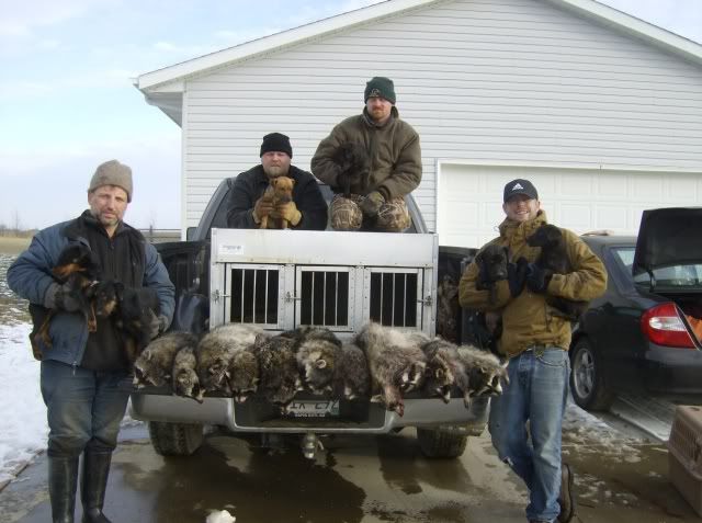 Coon-hunt-SD012.jpg