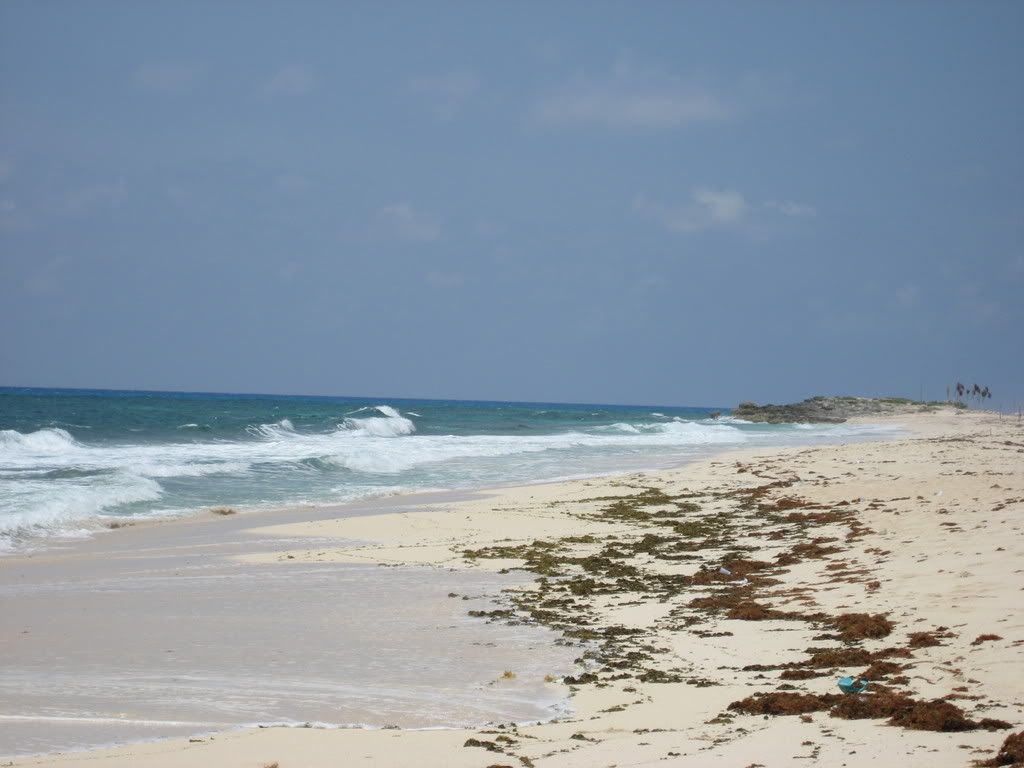 http://i177.photobucket.com/albums/w237/Myskippy/Cozumel/IMG_0033.jpg