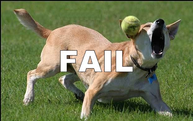 faildog.png