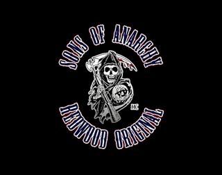 Sonsofanarchycustom