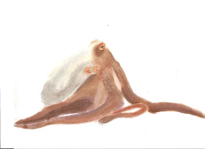 http://i177.photobucket.com/albums/w238/deathgate666/octopuss.jpg