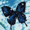 butterfly.gif