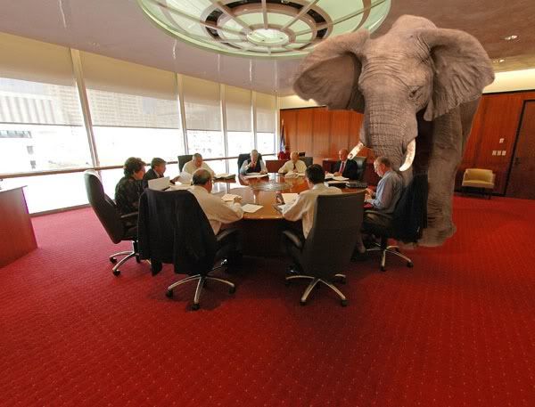 Elephant in the room Pictures, Images and Photos