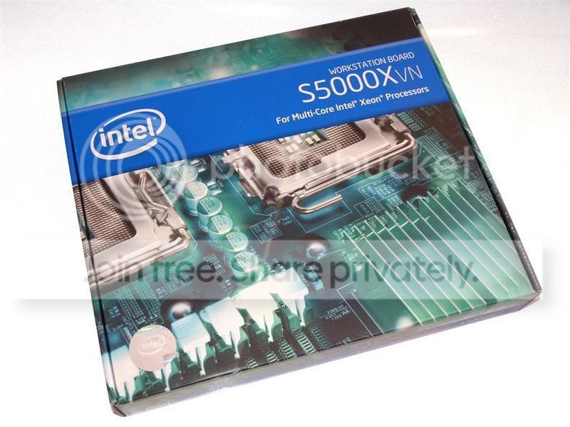 big_xeons_4.jpg