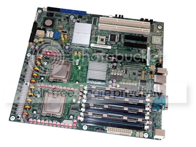 big_xeons_5.jpg
