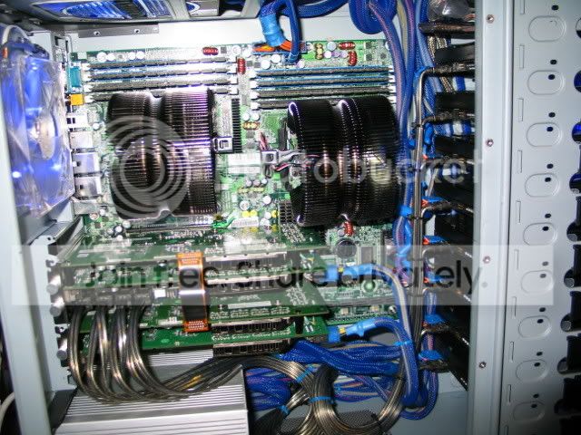 img1608da8.jpg