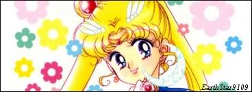 Sailor Moon Scout Guide banner